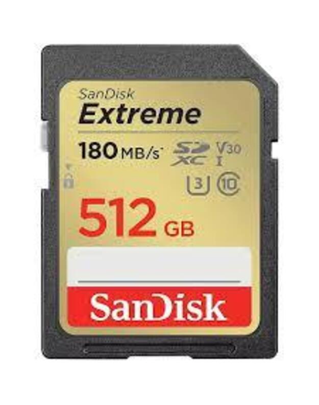 MEMORY SDXC 512GB UHS-1/SDSDXVV-512G-GNCIN SANDISK