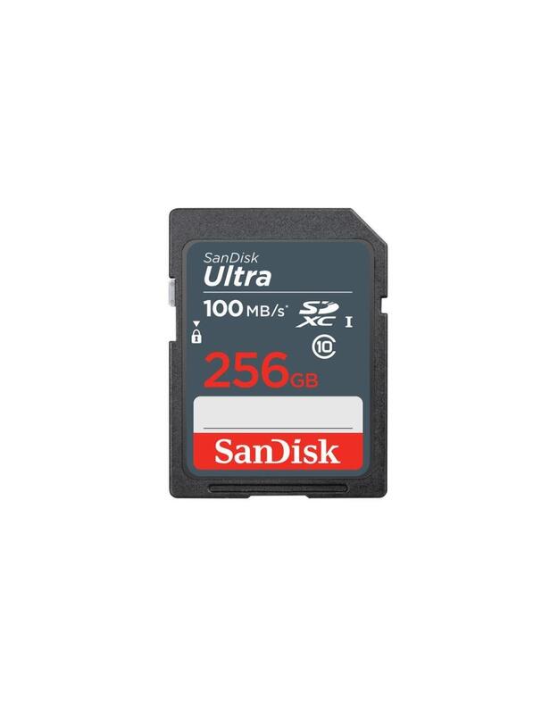 MEMORY SDXC 256GB UHS-I/SDSDUNR-256G-GN3IN SANDISK