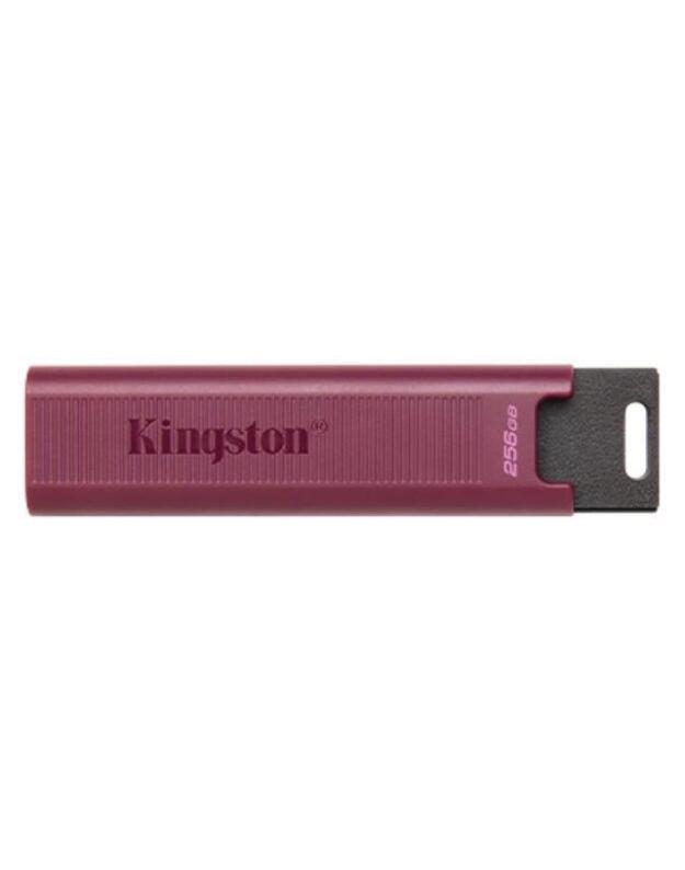 MEMORY DRIVE FLASH USB3.2/256GB DTMAXA/256GB KINGSTON