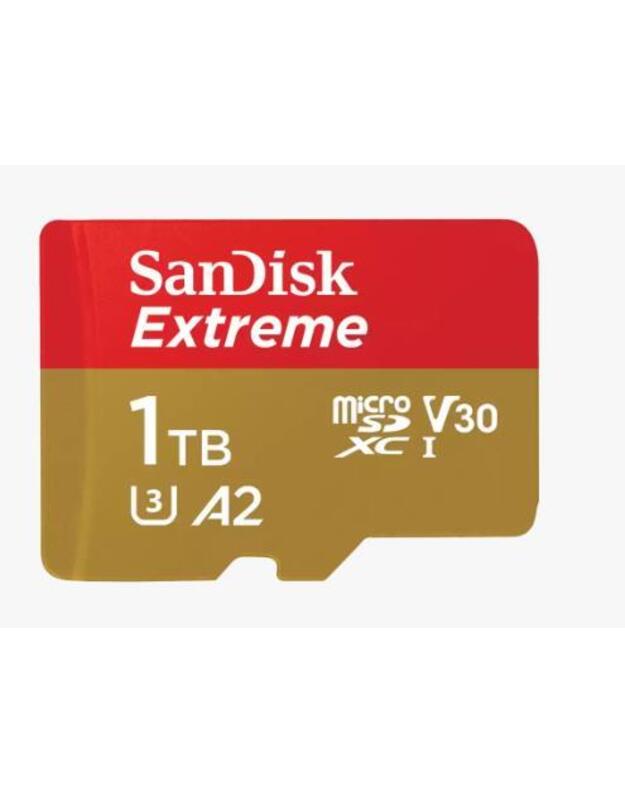 MEMORY MICRO SDXC 1TB UHS-I/W/A SDSQXAV-1T00-GN6MA SANDISK