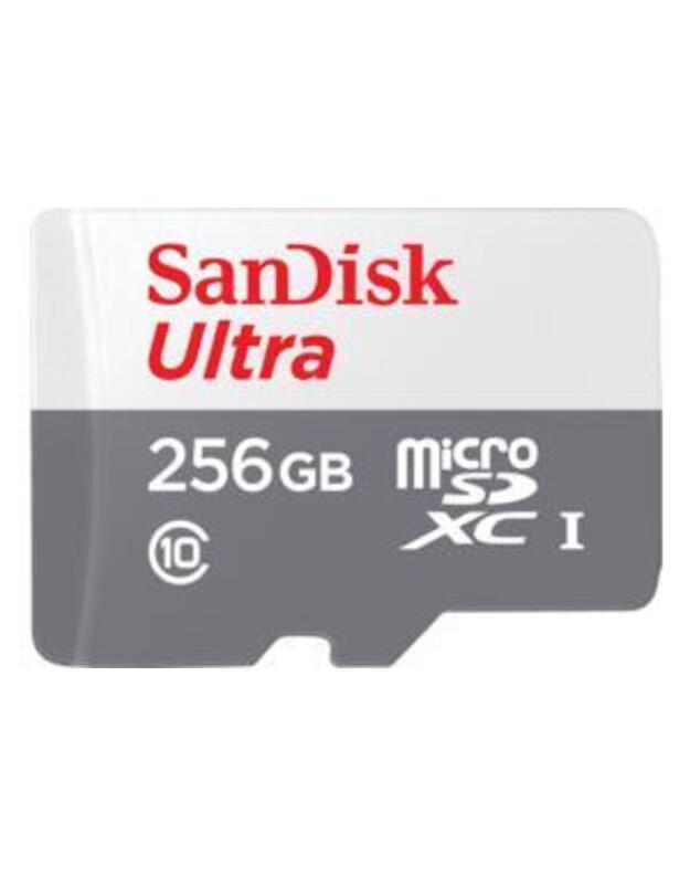 MEMORY MICRO SDXC 256GB UHS-I/SDSQUNR-256G-GN6TA SANDISK