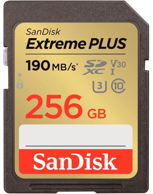 MEMORY SDXC 256GB UHS-1/SDSDXWV-256G-GNCIN SANDISK