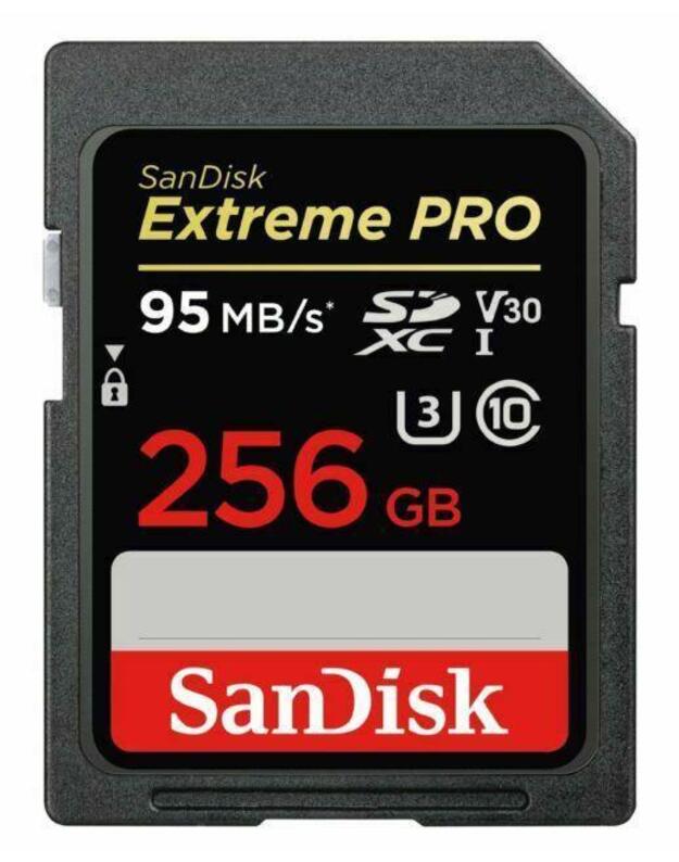 MEMORY SDXC 256GB UHS-1/SDSDXXD-256G-GN4IN SANDISK