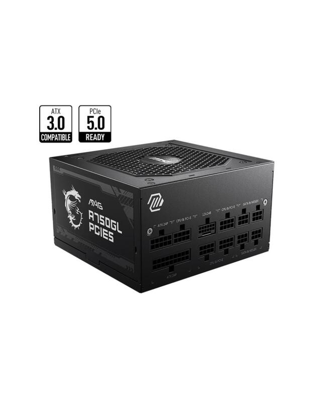 Power Supply|MSI|750 Watts|Efficiency 80 PLUS GOLD|PFC Active|MAGA750GLPCIE5